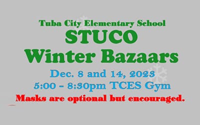 TCES Winter Bazaars Feature