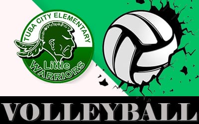 TCES Volleyball feature